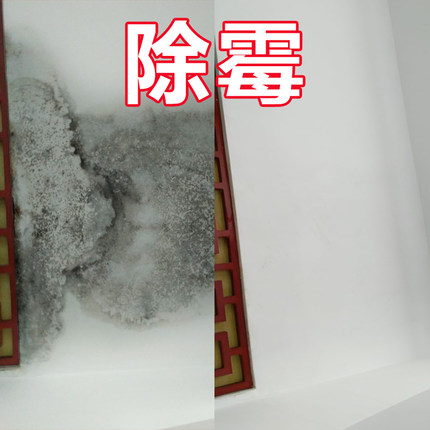 墙面霉菌有什么危害？怎么清除霉菌