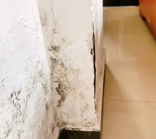 墙面霉菌有什么危害？柳州品匠装饰教你如何清除霉菌